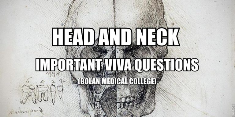 Head & Neck Anatomy Important Viva Questions | Medicos Republic