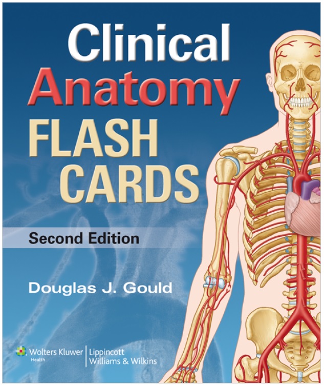 Moores Clinical Anatomy Flash Cards Pdf Free Download Direct Link