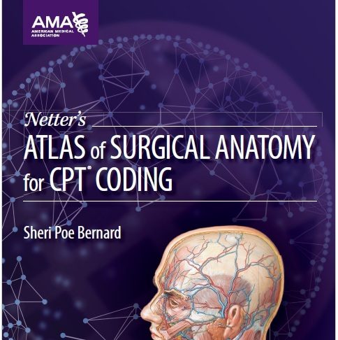 Netters Anatomy Atlas