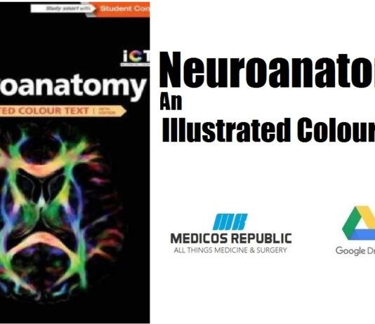 Neuroanatomy An Illustrated Colour Text PDF