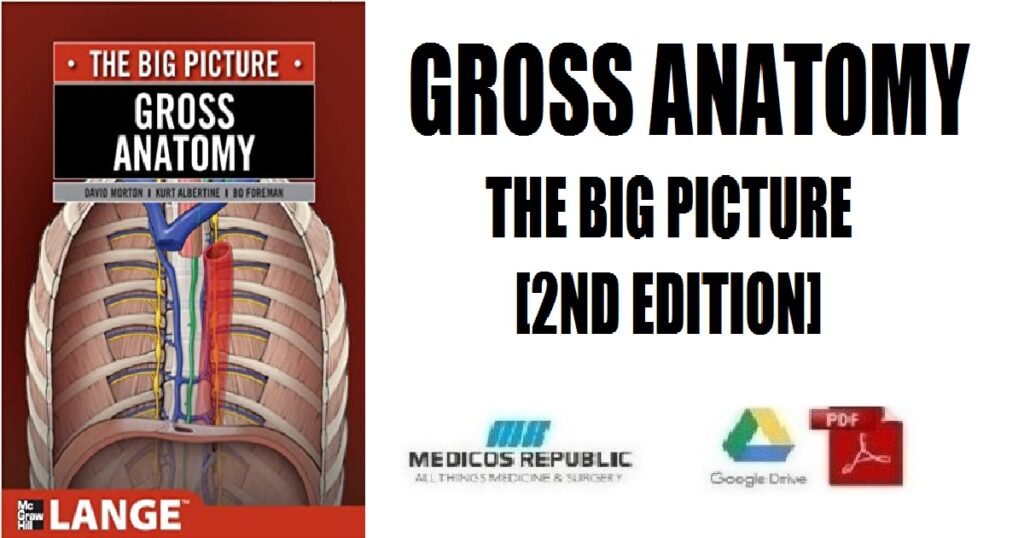 gross-anatomy-the-big-picture-2nd-edition-pdf-free-download