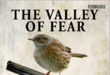 The Valley of Fear PDF