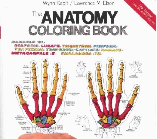 The Anatomy Coloring Book 2nd Edition PDF