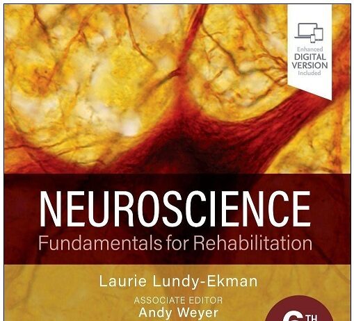 Neuroscience 6th Edition PDF