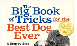 The Big Book of Tricks for the Best Dog Ever: A Step-by-Step Guide to 118 Amazing Tricks & Stunts PDF