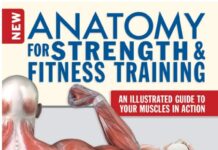 New Anatomy for Strength & Fitness Training PDF