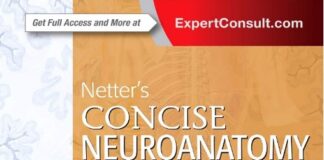 Netter's Concise Neuroanatomy PDF