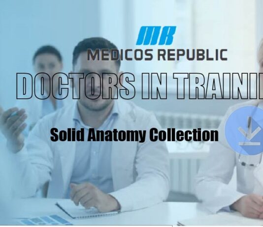 Doctor in Training Solid Anatomy Collection