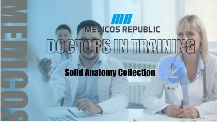 Doctor in Training Solid Anatomy Collection